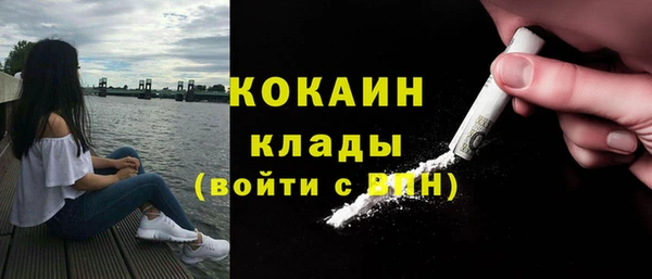 тгк Алексин