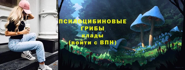 тгк Алексин