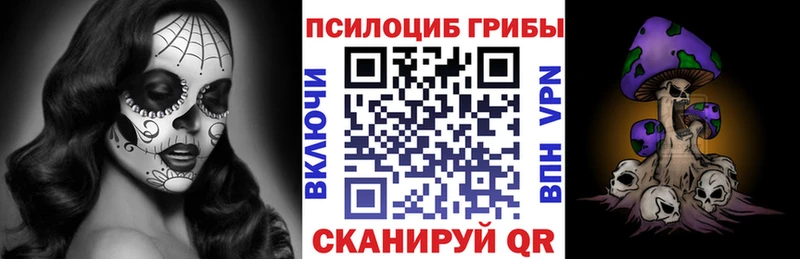 Галлюциногенные грибы Magic Shrooms  купить наркоту  Чебаркуль 