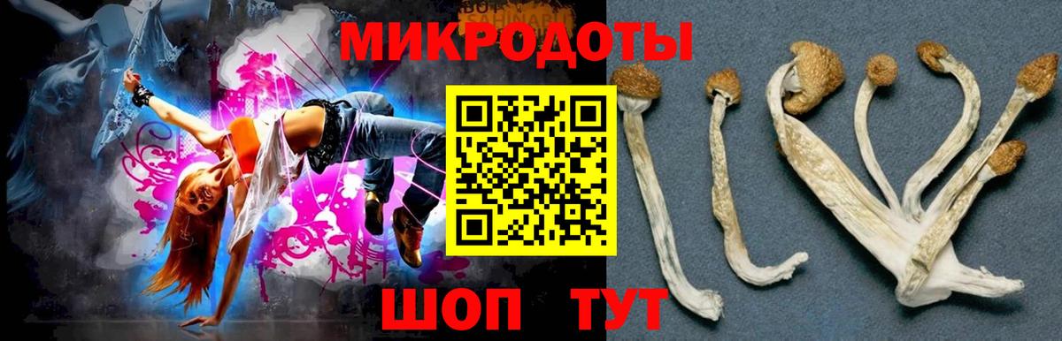 Чебаркуль  Галлюциногенные грибы Magic Shrooms  Вход с VPN  Псилоцибиновые грибы ЛСД 