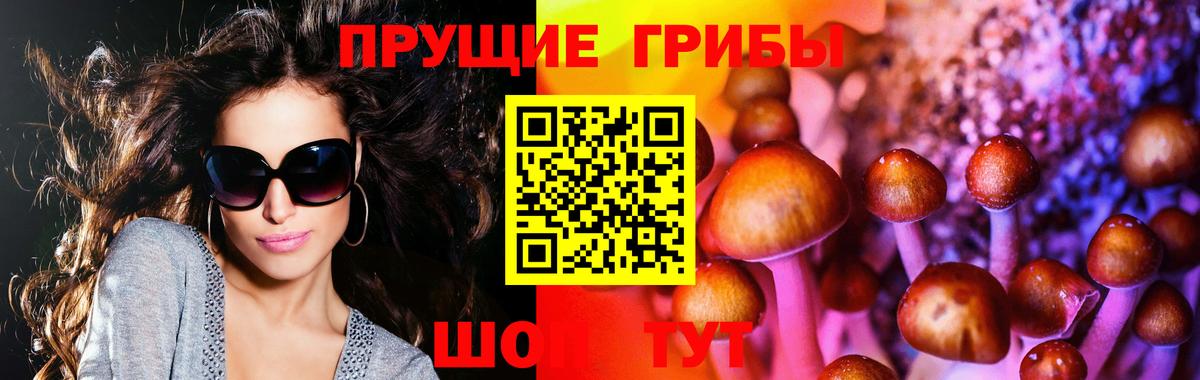 Галлюциногенные грибы MAGIC MUSHROOMS Чебаркуль